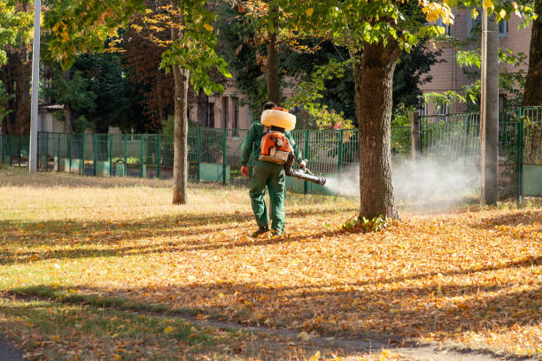 Best Best Pest Control Companies  in Kirksville, MO