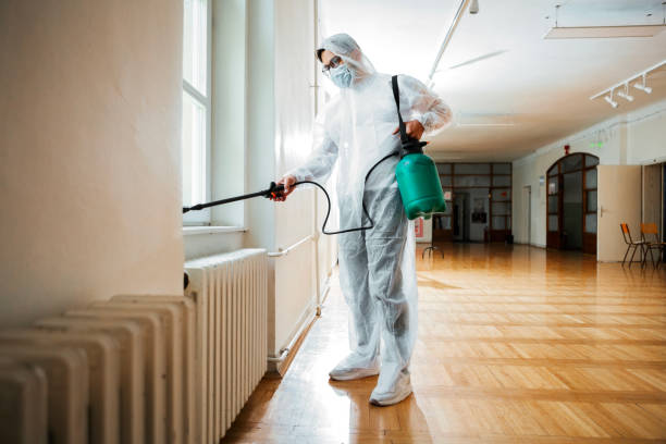 Trusted Kirksville, MO Pest Control Experts